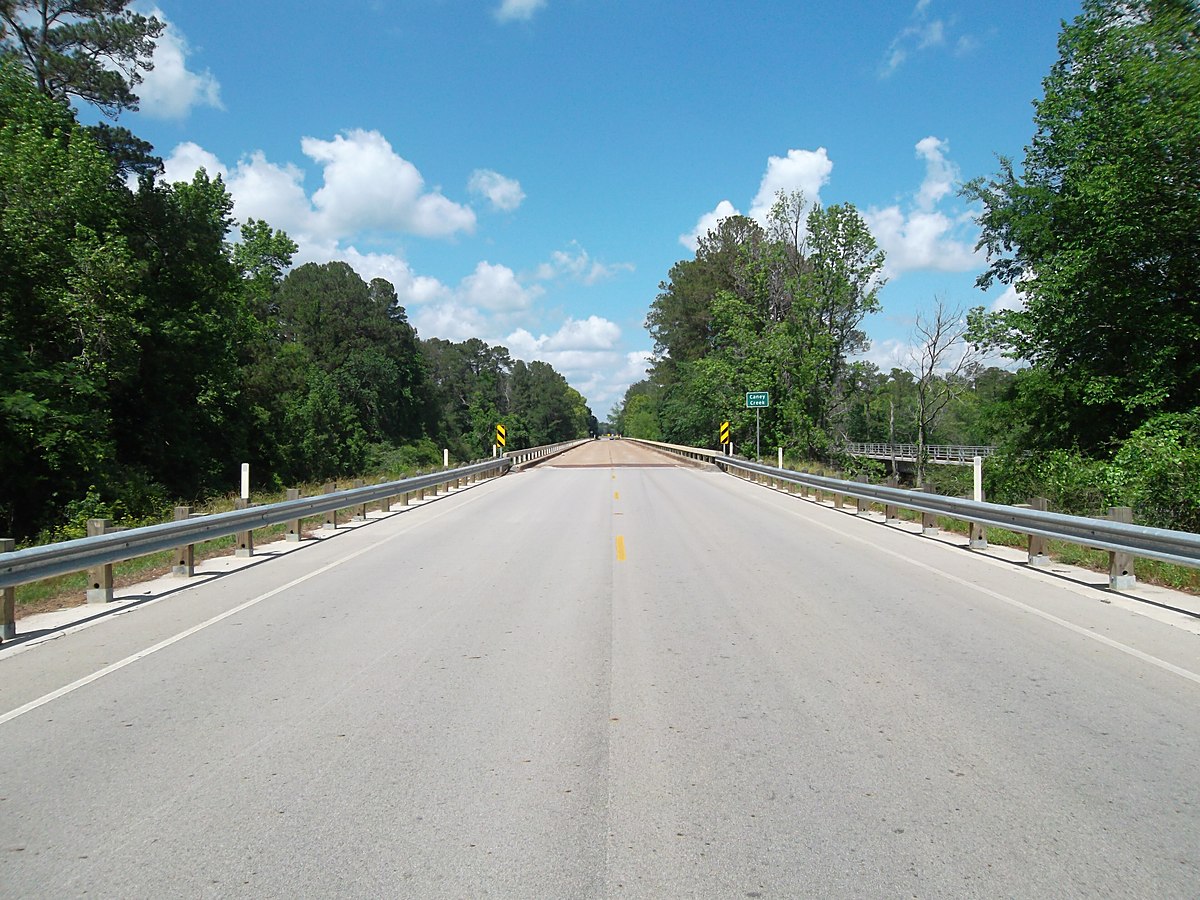A two-lane road running straight through dense East Texas pine woods under a blue sky — representative imagery, not a specific Texas Pride job